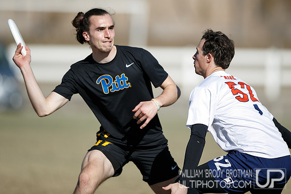 Day 2 of USA Ultimate College Championships.