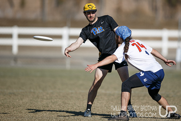 Day 2 of USA Ultimate College Championships.