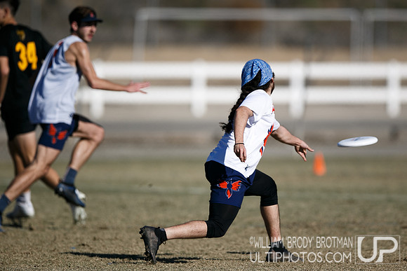 Day 2 of USA Ultimate College Championships.