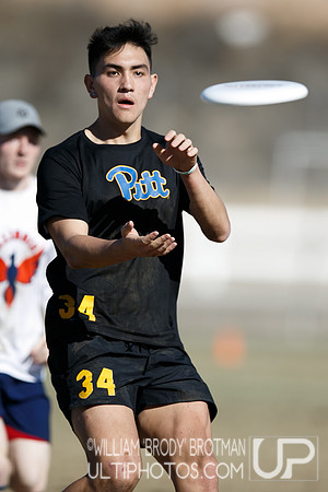 Day 2 of USA Ultimate College Championships.