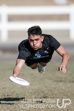 Day 2 of USA Ultimate College Championships.