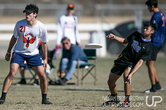 Day 2 of USA Ultimate College Championships.