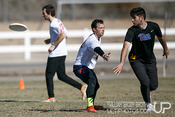 Day 2 of USA Ultimate College Championships.
