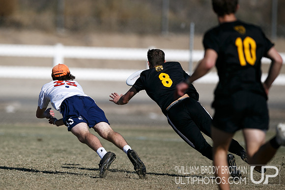 Day 2 of USA Ultimate College Championships.