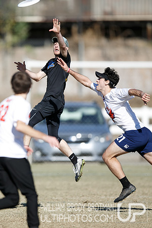 Day 2 of USA Ultimate College Championships.