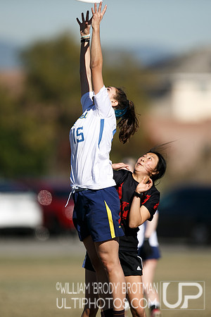 Day 2 of USA Ultimate College Championships.