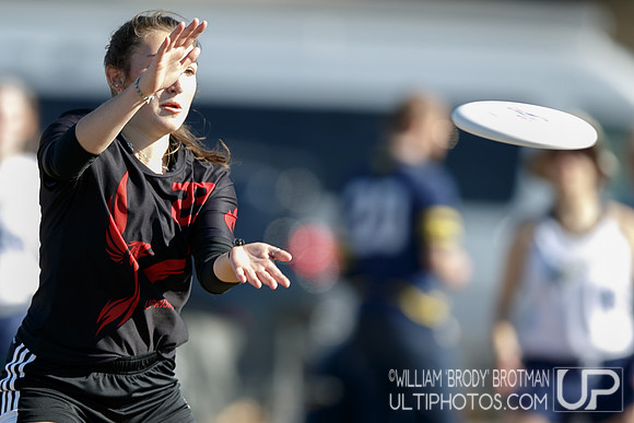 Day 2 of USA Ultimate College Championships.