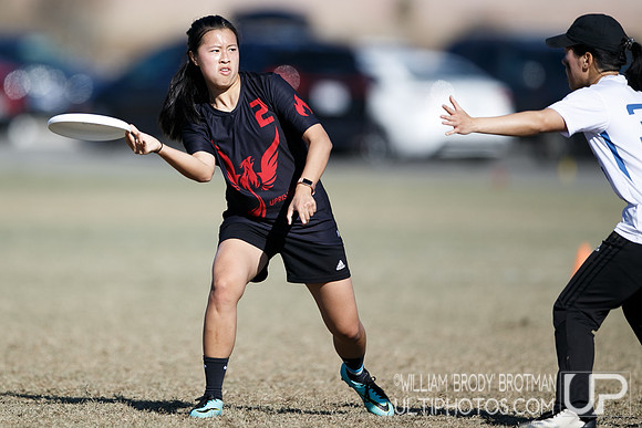 Day 2 of USA Ultimate College Championships.