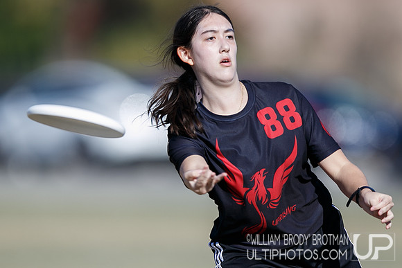 Day 2 of USA Ultimate College Championships.