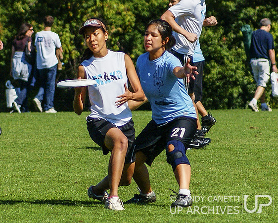 2008 Metro NY Sectionals
