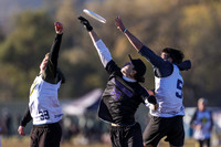 2021 USA Ultimate Division I College Championships