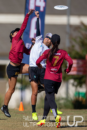 Day 3 of the WFDF 2024 World Masters Ultimate Championships