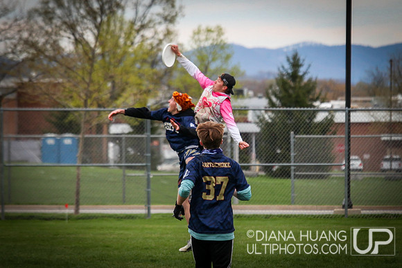 West Penn D1 Men's Conference Championships 2024