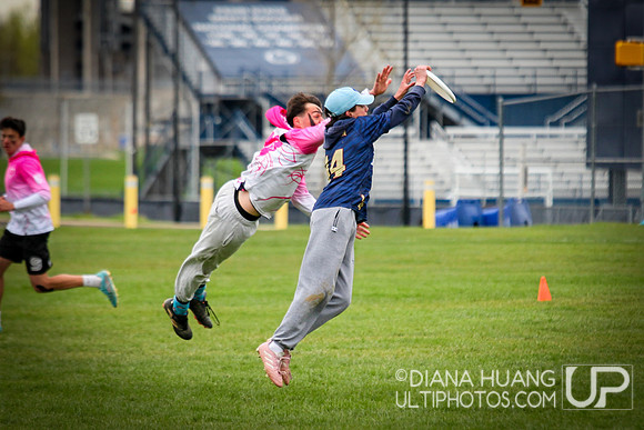 West Penn D1 Men's Conference Championships 2024