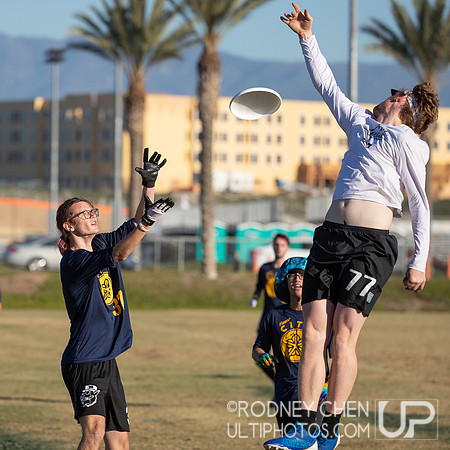 2021 USA Ultimate College Championships