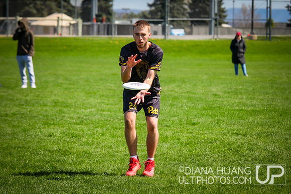 West Penn D1 Men's Conference Championships 2024