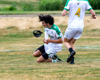 MN HS State 2021 Saturday