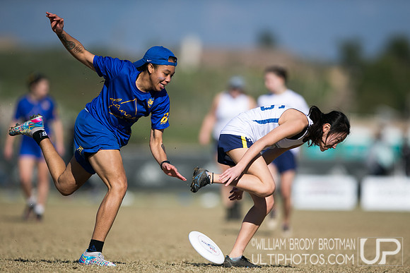 Day 1 of USA Ultimate College Championships.