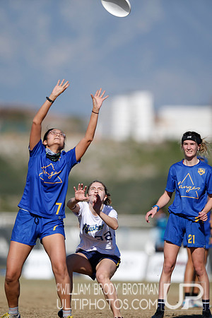 Day 1 of USA Ultimate College Championships.