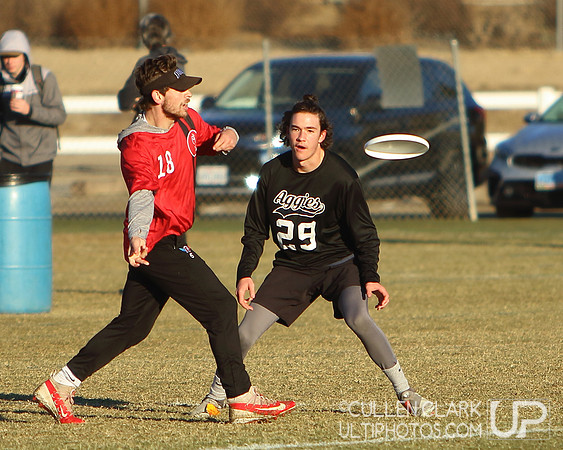 2021 USA Ultimate Division I College Championships