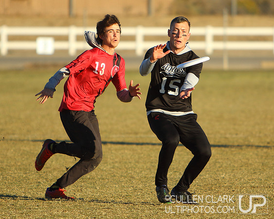2021 USA Ultimate Division I College Championships