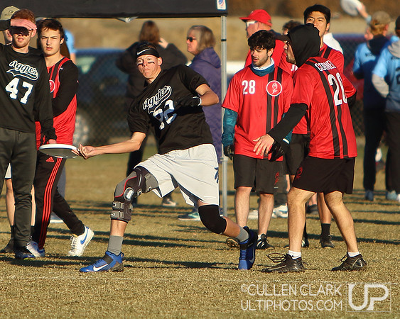 2021 USA Ultimate Division I College Championships