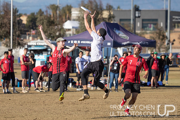 2021 USA Ultimate College Championships