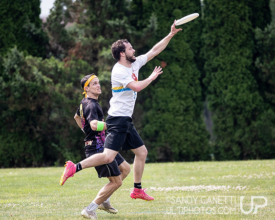 LVU's Disc Days of Summer