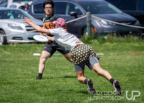 2024 USA Ultimate Division III College Championships ©