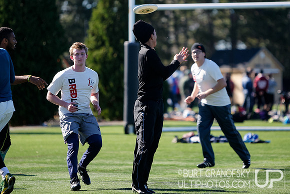 Bredline vs Alumni Game - Harvard Ultimate 40th Reunion
