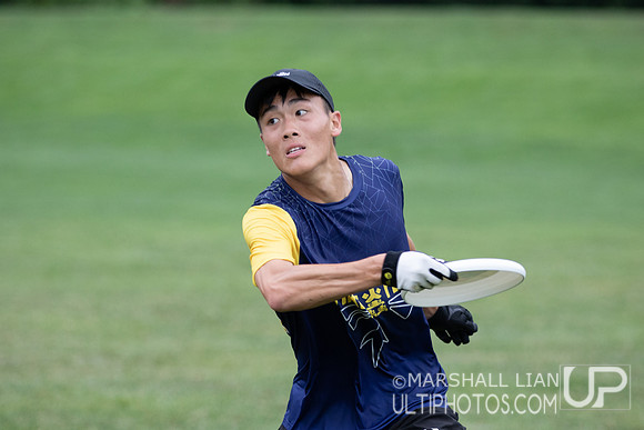 Fireflies vs IKU