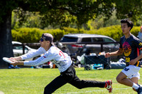 2025 USAU NorCal D1 Conference Championships