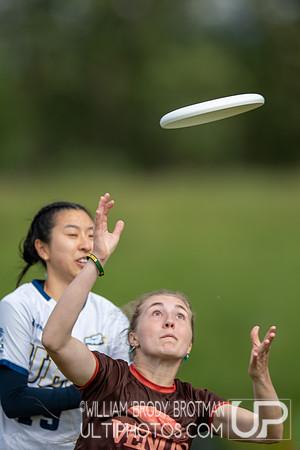 Day 1 of the USA Ultimate D-I College Championships