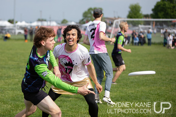 2024 USA Ultimate Division III College Championships