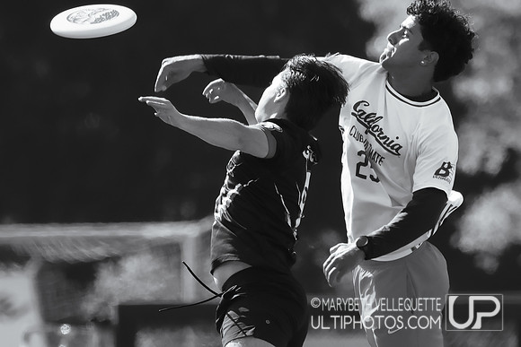 NorCal D1 Conference Championships