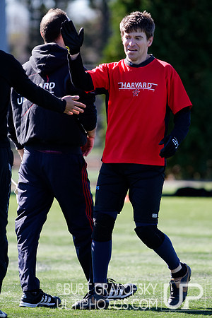 Bredline vs Alumni Game - Harvard Ultimate 40th Reunion