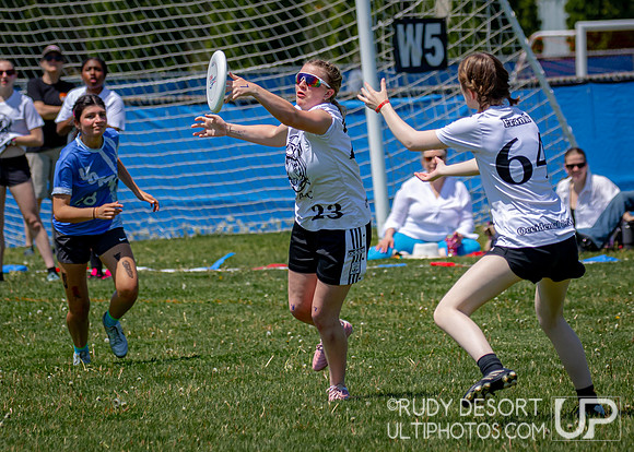 2024 USA Ultimate Division III College Championships ©