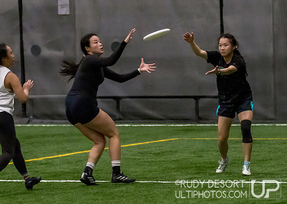 Season 2 Finals; Chicago Indoor Ultimate League