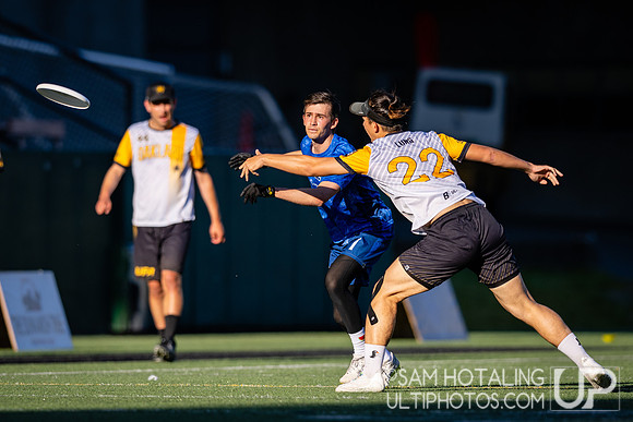 Oakland Spiders at Seattle Cascades in the UFA Regular Season