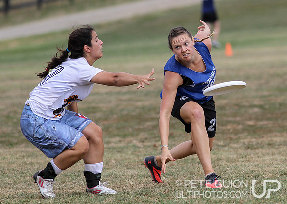 Chesapeake Open