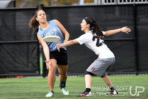 Harvard 40th Ultimate Reunion