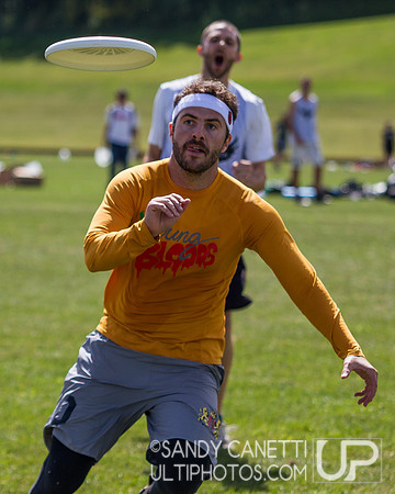 2013 USA Ultimate Metro New York Open Sectionals