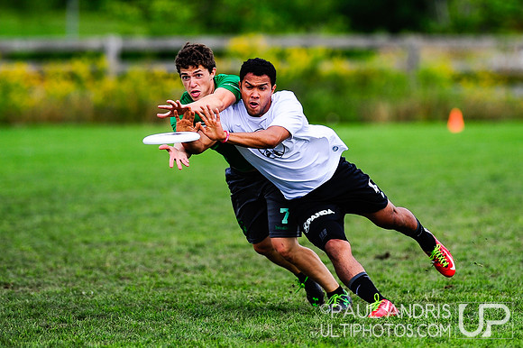 2014 USAU Founders Mixed Sectionals