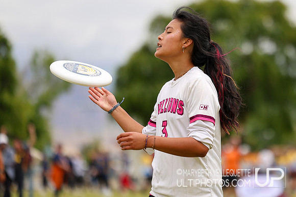 Southwest D1 Regional Championships