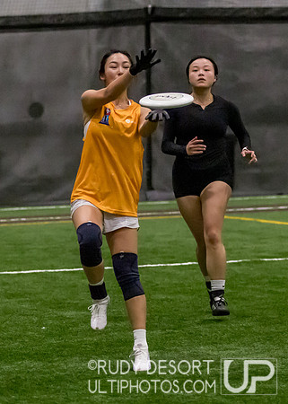 Season 2 Finals; Chicago Indoor Ultimate League