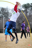Winter Goaltimate League -- 2014