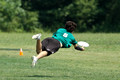 USAU 2012 HS Southerns