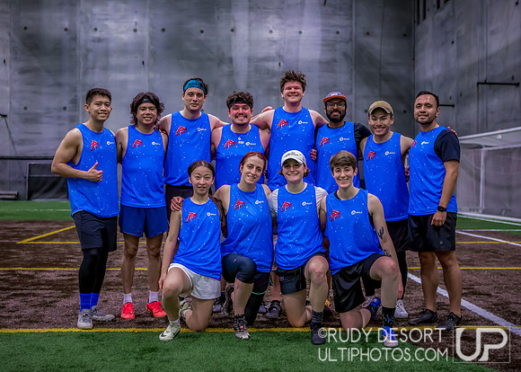 Chicago Indoor Ultimate League