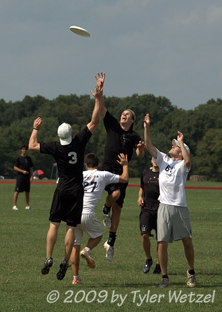 Elite Open Division Bonus Coverage