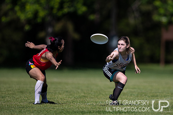 Saturday Action -- Mixed Easterns 2022
